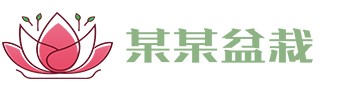 安博电竞·(中国)电子竞技平台